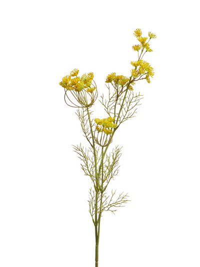 Oka Faux Queen Anne's lace stem at Collagerie