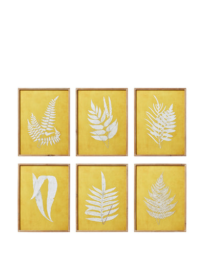 Oka Yellow fern framed prints ( set of 6 ) at Collagerie