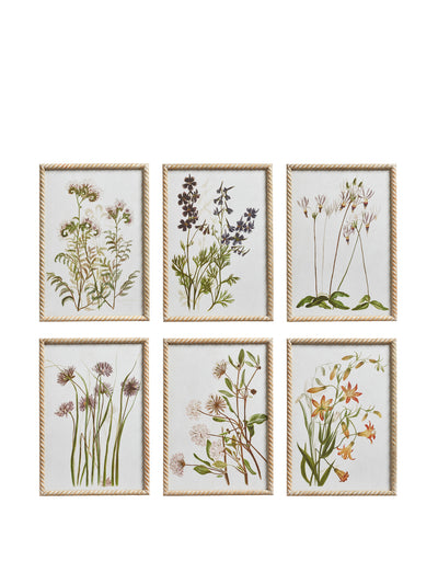 Oka Multi floral prints (set of 6) at Collagerie