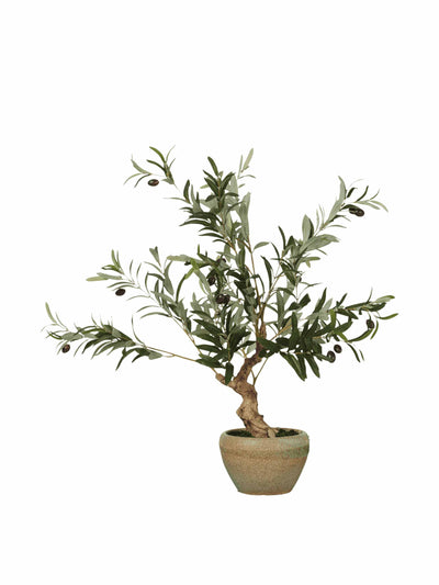 Oka Faux miniature olive tree at Collagerie