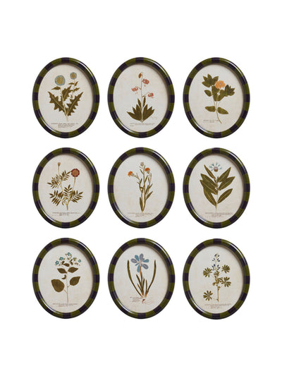 Oka Ovalis framed floral prints (set of 9) at Collagerie