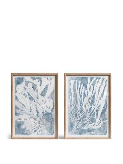 Oka Blue and white seaweed prints (set of 2) at Collagerie
