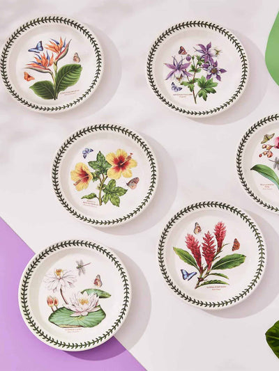 Portmeirion Exotic botanic garden plates (set of 6) at Collagerie