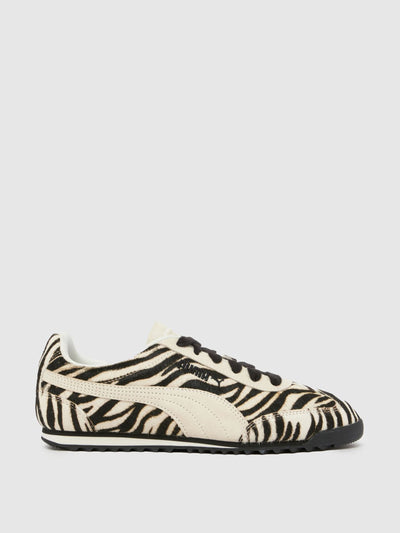 Puma Arizona in black & white at Collagerie