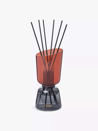 Esteban Teck Et Tonka bouquet scented diffuser set at Collagerie