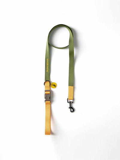 Painters Wife Sonia green dog leash at Collagerie