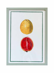 19th century pomegranate print
