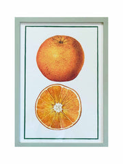 19th century orange print