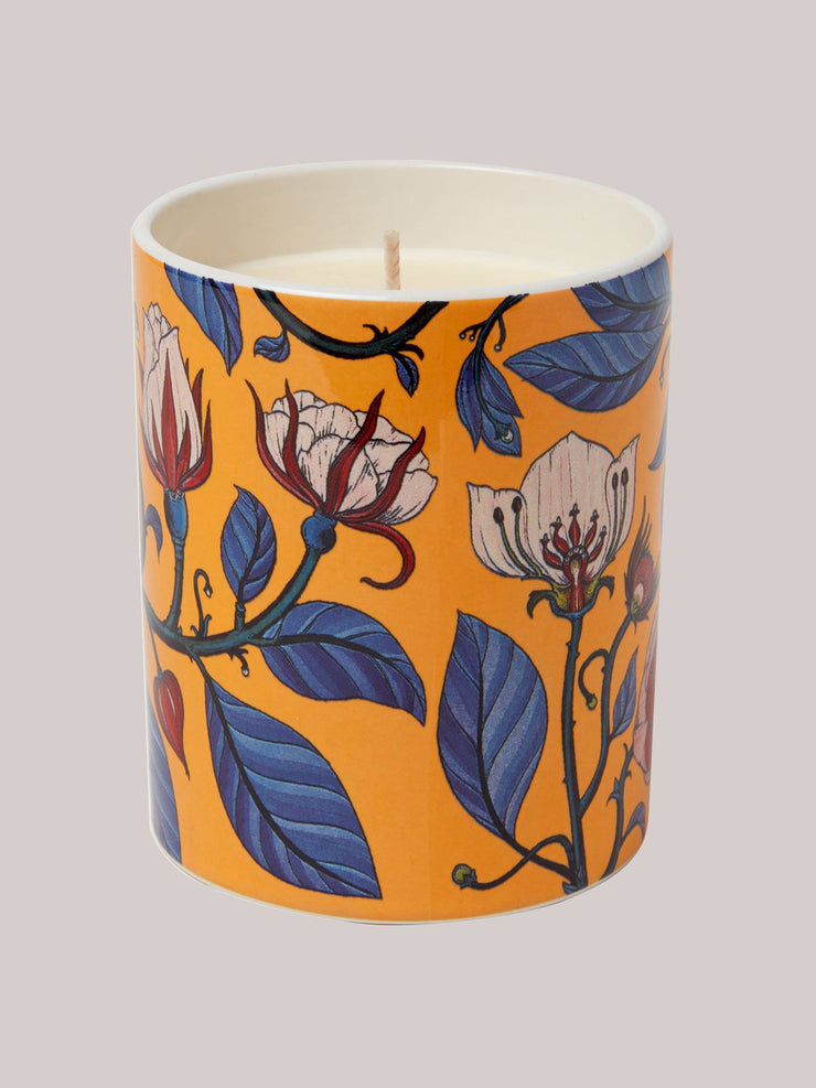 Polkra x Katie Scott Calypso Rose candle
