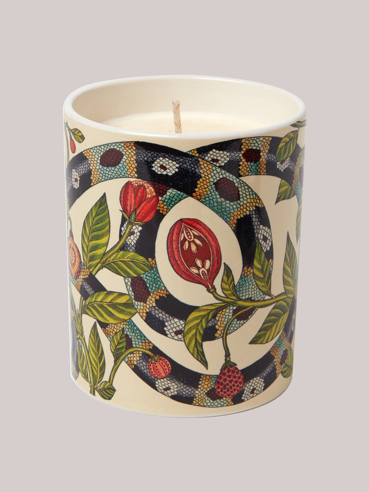Polkra x Katie Scott atlas candle