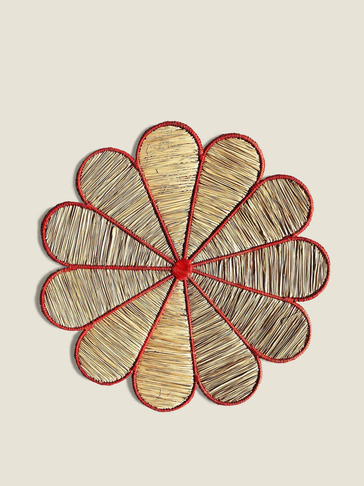 Conchita woven placemats (set of 2)