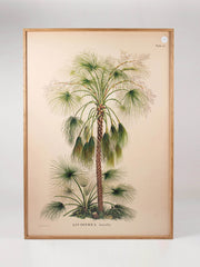 Large framed palm print