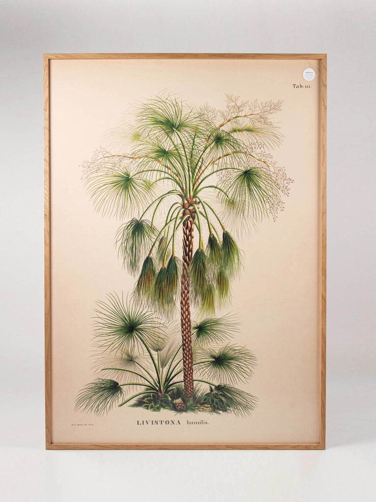 Large framed palm print