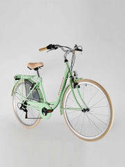 Chelsea pistachio Dutch style bike