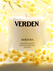 Hortosa scented candle Home Accessories Verden    - Collagerie