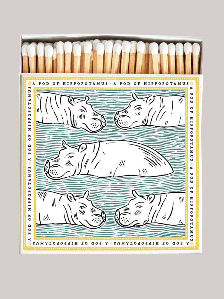 Polkra x Fee Greening a pod of hippopotamuses matchbox