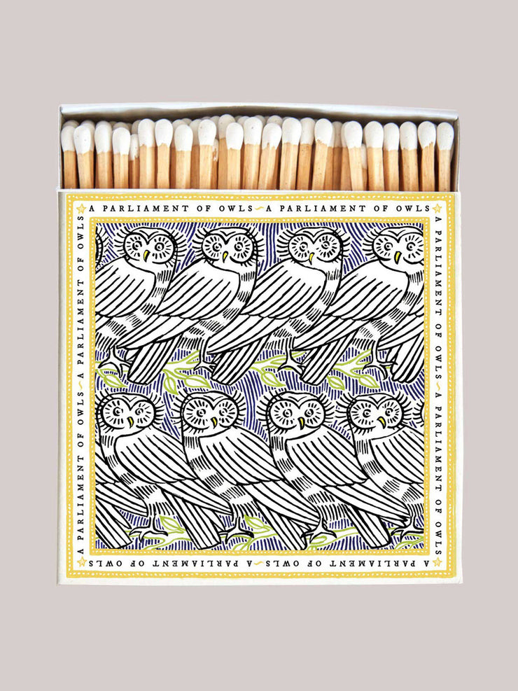 Polkra x Fee Greening a parliament of owls matchbox