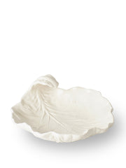 White medium cabbage leaf dish