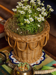 Pinet rattan plant pot