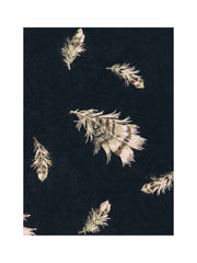 No.052 'Peace Plumes' vintage archive poster print