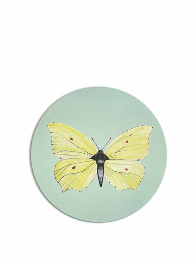 Bertioli By Thyme x Bell Hutley Yellow brimstone butterfly coaster at Collagerie