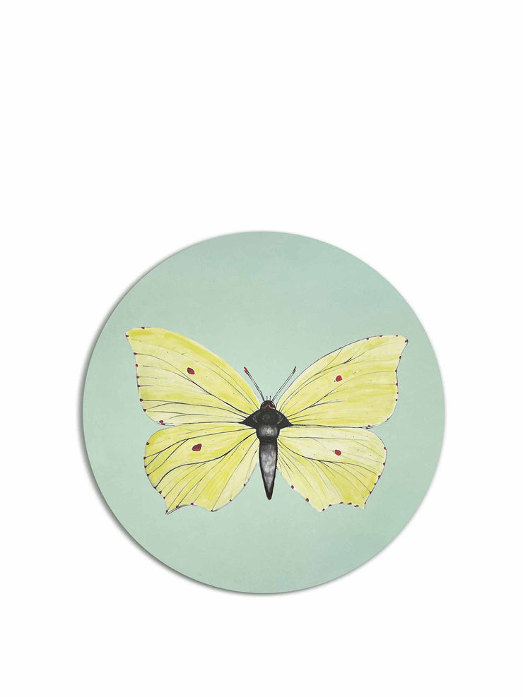 Yellow brimstone butterfly coaster