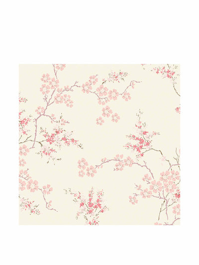 Laura Ashley Oriental Blush Blossom wallpaper at Collagerie