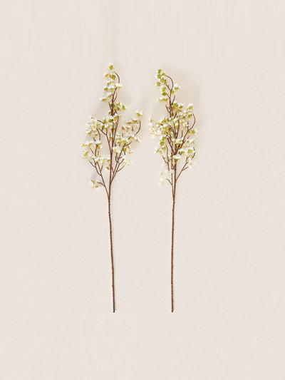 Marks & Spencer Cherry blossom stems (set of 2) at Collagerie