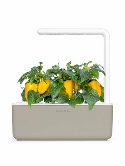 Click & Grow Smart garden 3 self watering indoor garden at Collagerie