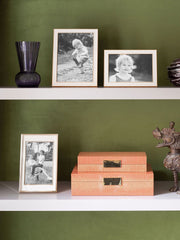 Beautiful high gloss lacquered orange croc large box by Addison Ross. Features a gold plated clasp and matching hinges and lined in cream suede | Collagerie.com