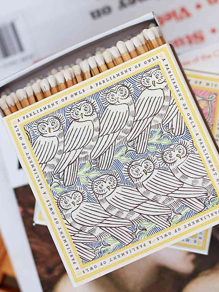 Polkra x Fee Greening a parliament of owls matchbox