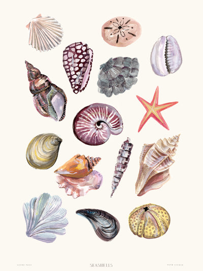 Laura Page Seashells print at Collagerie
