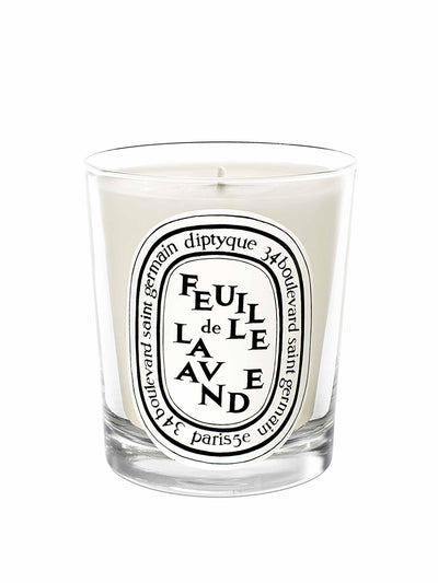 Diptyque Feuille de Lavande scented candle at Collagerie