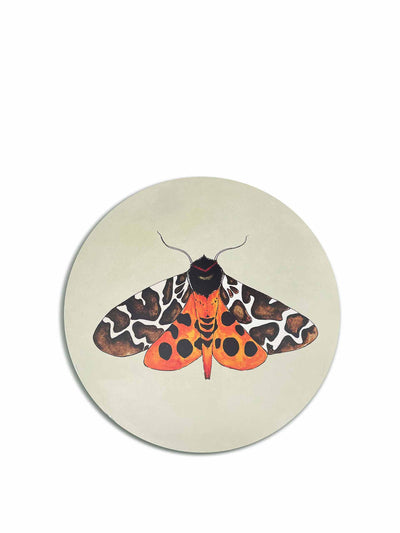 Bertioli By Thyme x Bell Hutley Tiger moth coaster at Collagerie