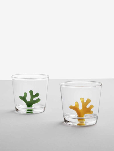 Ichendorf Milano Coral reef glass tumbler at Collagerie