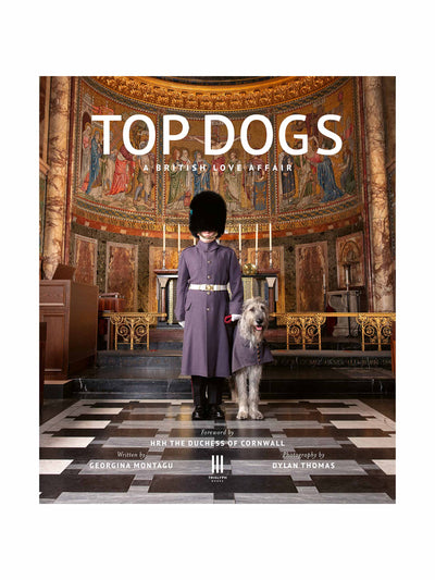 Georgina Montagu Top Dogs hardcover book at Collagerie